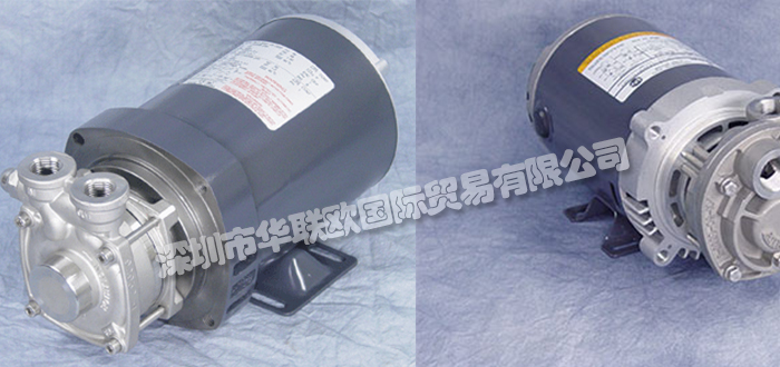 美国MTH PUMPS再生涡轮泵P31系列